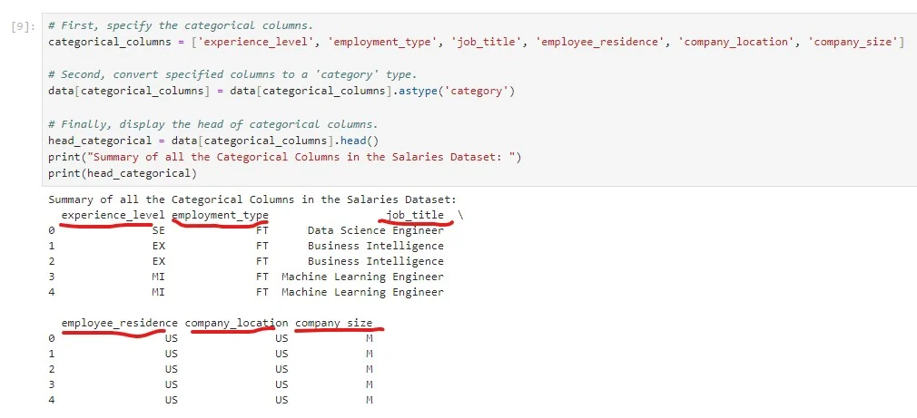 Summary of the categorical datatypes columns.